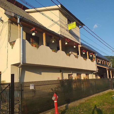 Pensiunea Casa Maria Vişeu de Sus Exteriör bild