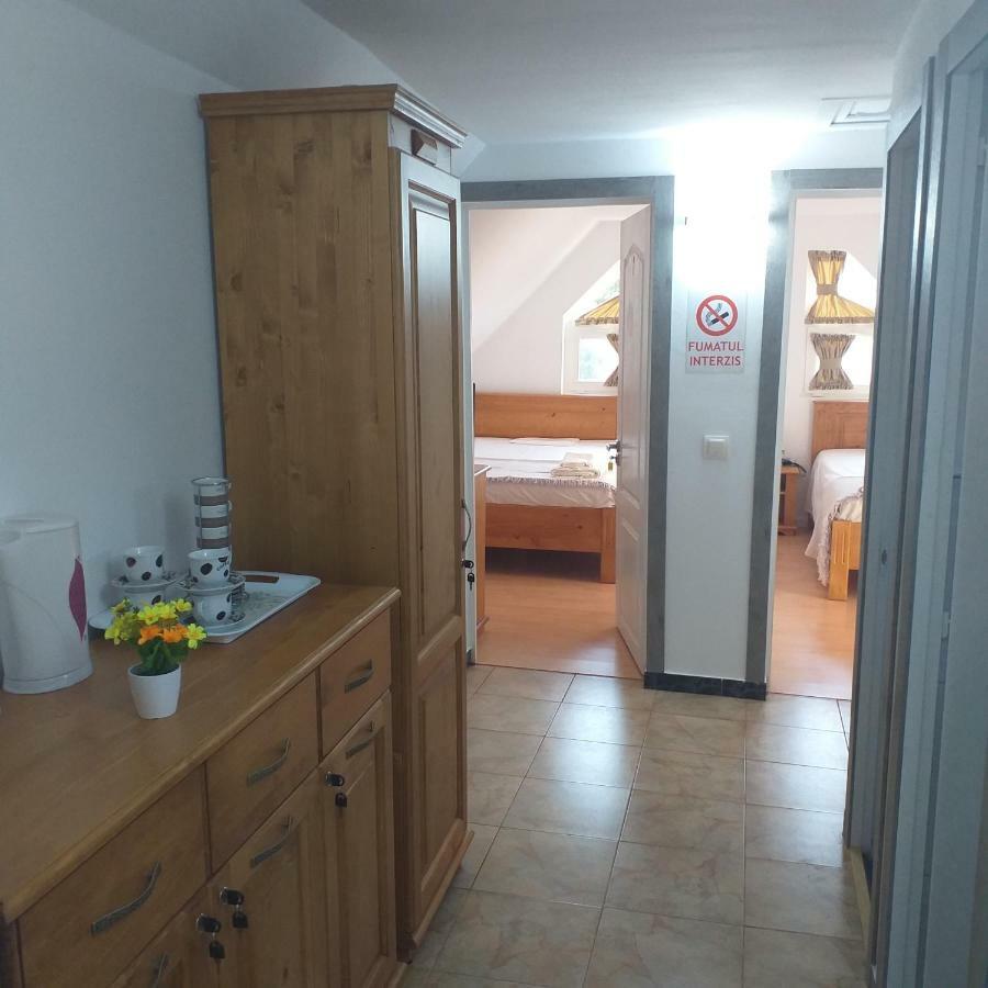 Pensiunea Casa Maria Vişeu de Sus Exteriör bild