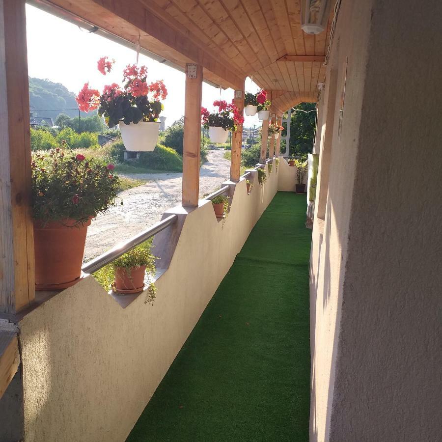 Pensiunea Casa Maria Vişeu de Sus Exteriör bild